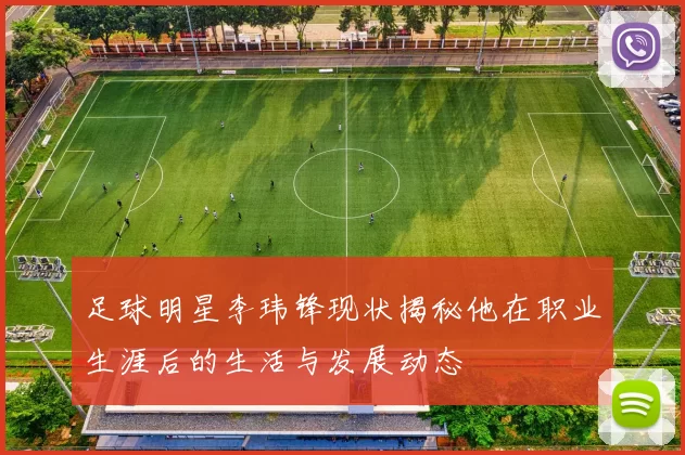 足球明星李玮锋现状揭秘他在职业生涯后的生活与发展动态