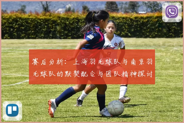 赛后分析：上海羽毛球队与南京羽毛球队的默契配合与团队精神探讨